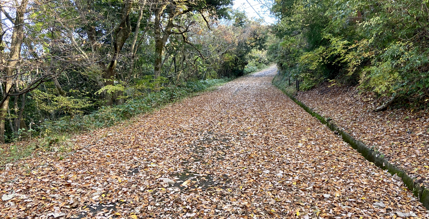 2025fall.png 2025fall.png