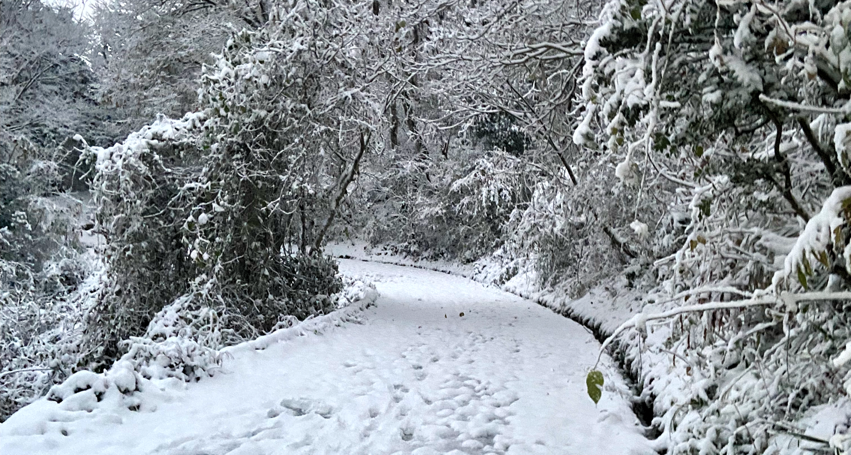 snowday_20251204.png snowday_20251204.png